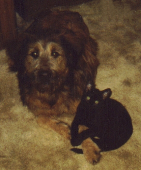 Boo And Joseph 1991