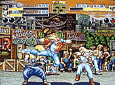 Fatal Fury