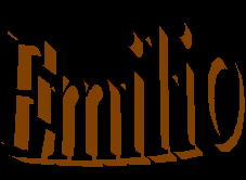 Emilio Y Selena Page