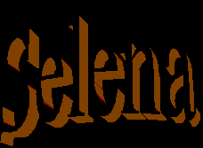 Emilio y Selena Page