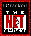 The Net Challenge Award