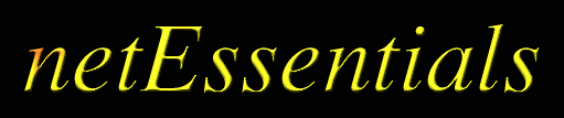 netEssentials Banner