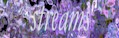Streams