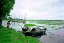 Countryside - Courtesy of EGIS