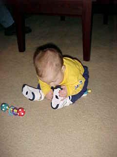 I'm not supposed to eat them?