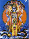 vishnu3.jpg (378188 bytes)