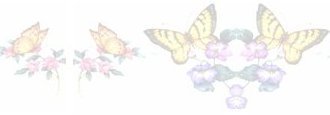 Top Border Buttefly background