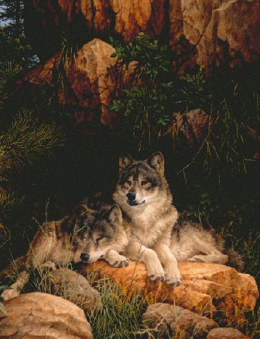 Wolf Art Gallery