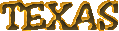 Texas1z.gif