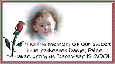 In Memory of Our Littlest Dame, Paige