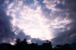 taken during the Tex-Mex party in Dessau, Germany--June 1999