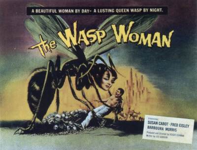 wasp