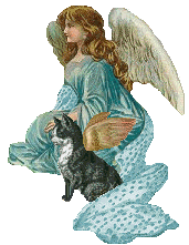 catangel.gif