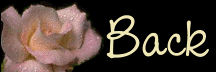 (= Back =)