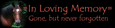 ~In Loving Memory~