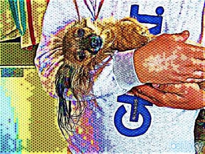 PETA - PEOPLE for the ETHICAL TREATMENT of ANIMALS