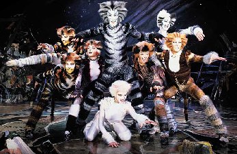 Picture from the CATS video cover