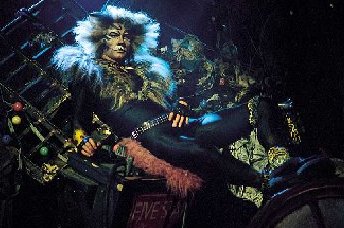 The Rum Tum Tugger