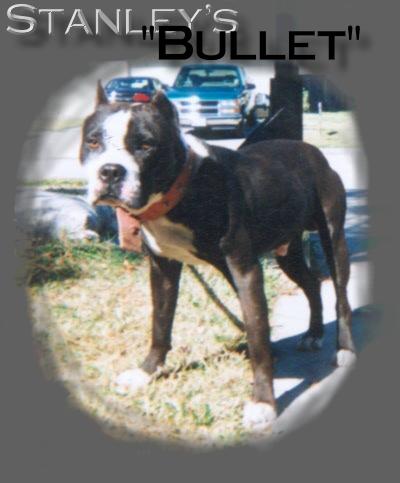 STANLEYS 
BULLET