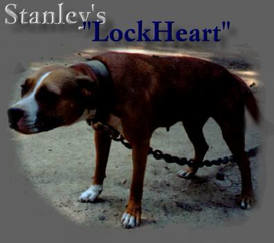 STANLEYS LOCKHEART