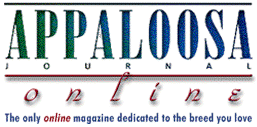 Appaloosa Journal Online