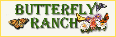 The Butterfly Ranch