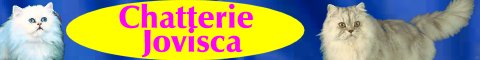 -=Chatterie Jovisca=-