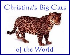 Christina's World of Big Cats