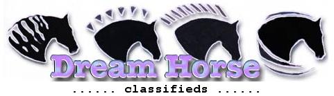 Find your next Dreamhorse