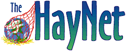 HayNet!