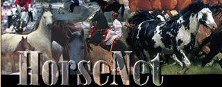 HorseNet