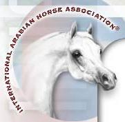 Get more out of life...Ride Arabians!