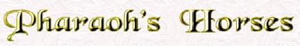 The Pharaoh's Horses