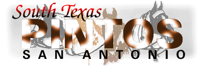 -=South Texas Pintos=-