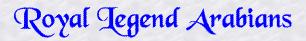 -=Royal Legend
Arabians=-