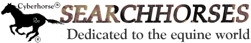 Cyberhorse