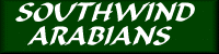 -=Southwind Arabians=-