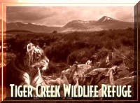 Tiger Creek Wildlife Refuge