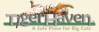 Tiger Haven