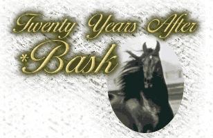 Twenty years after Bask