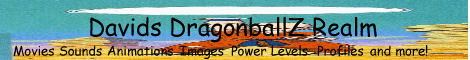 Davids DragonballZ Realm