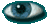 Eye Image