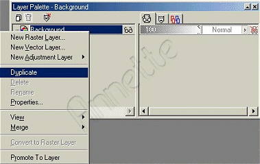 Duplicate Screenshot