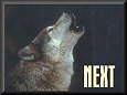 Next https://www.angelfire.com/tx3/fantasy2000/wolf1.html