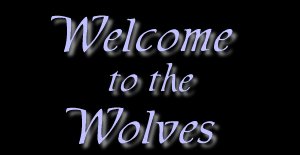 Welcome to the Wolves image