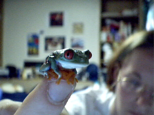 Pict0011.JPG"width="265"