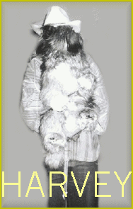 Harvey under the cowboy hat?
Or is it someone
holding Harvey....?