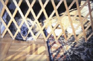 Harvey chewing
the gateway