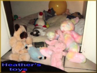 - Heather's Toys -
??? can you find Heather
in the photo ????