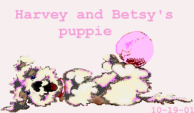 Betsy and Harvey's puppies